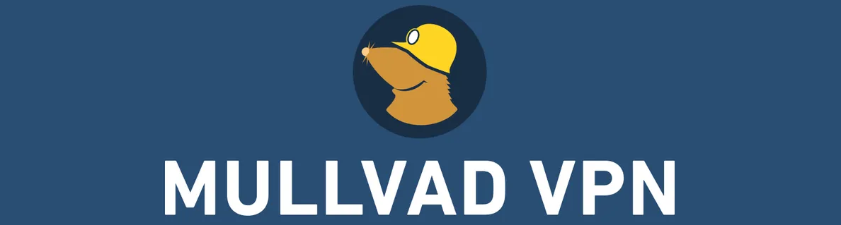 Mullvad VPN No Logs Policies & Practices